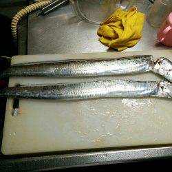 お酒のあてを。