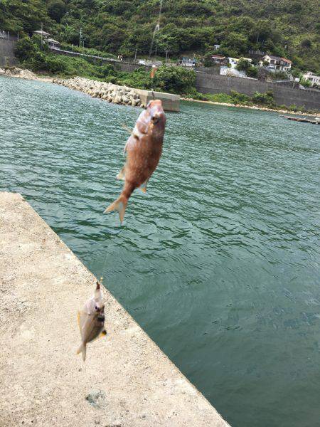 ちょい投げマジ楽しめる！(￣▽￣)v