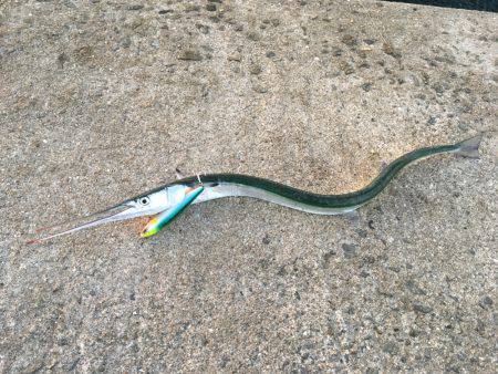 ライトショアジギング