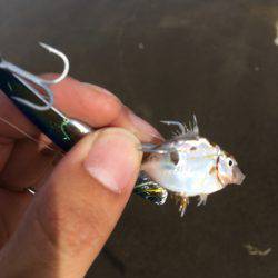 ゴミゴミゴミゴミ