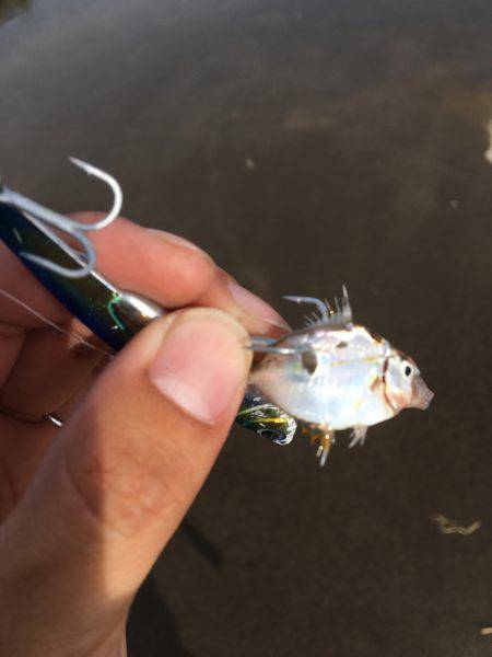 ゴミゴミゴミゴミ