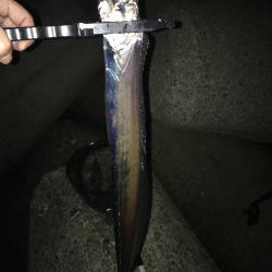 ライトショアジギンク