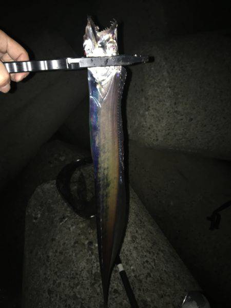 ライトショアジギンク