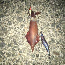 一投目から……