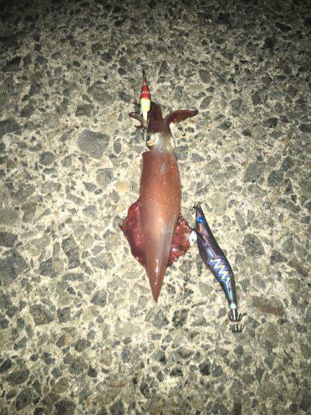 一投目から……