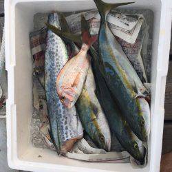 久しぶりのジギング