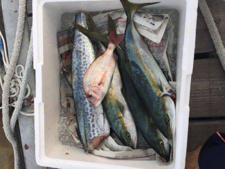 久しぶりのジギング