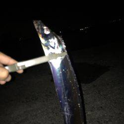 タチウオゲキ渋