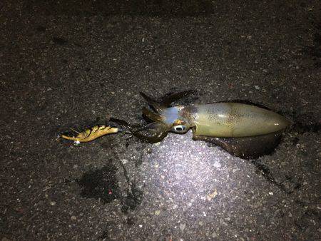 ライト、ライト