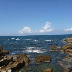 豊岡竹野港内でアオリイカ2日目