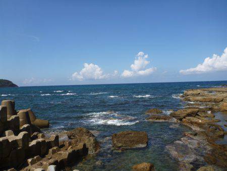 豊岡竹野港内でアオリイカ2日目
