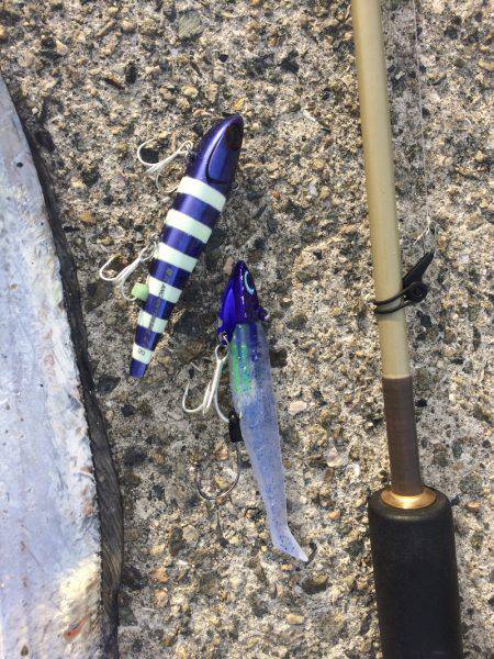 ワインド タチウオ