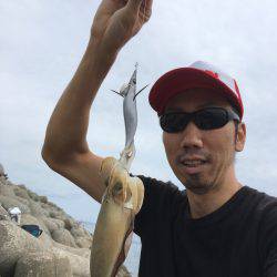 アオリイカ調査