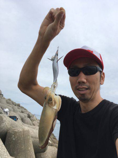 アオリイカ調査