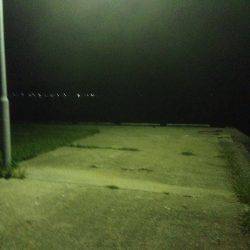 ボラ、セイゴ釣果