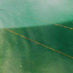 友人とエギング