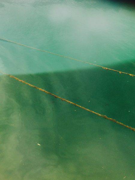 友人とエギング