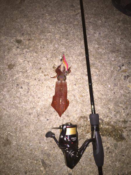 台風前エギング