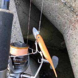 初太刀ワインド