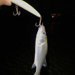 ナイトウェーディング