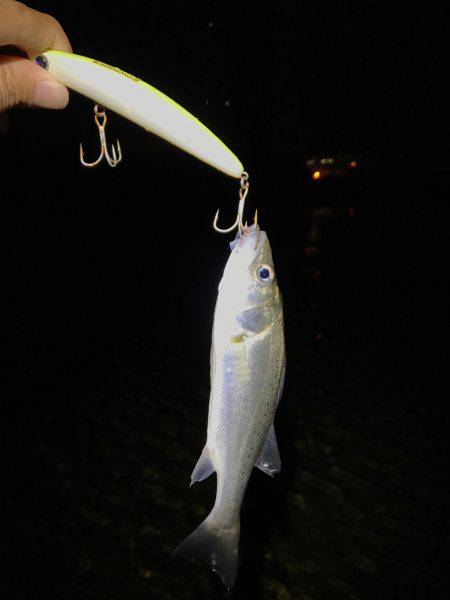 ナイトウェーディング