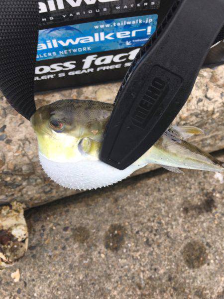 ヤッパリ奴は裏切らない