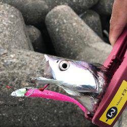 とうとう爆りました!