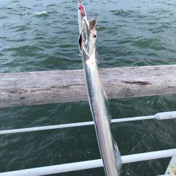 ショアジギアフタータイフーン