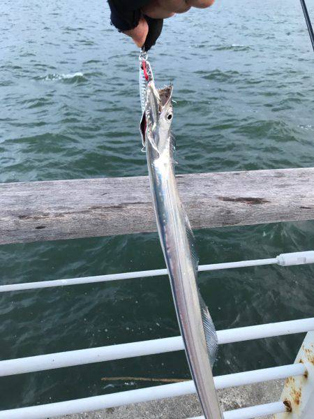 ショアジギアフタータイフーン