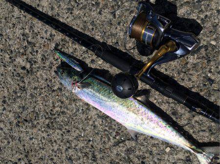 昼の地合いにて。