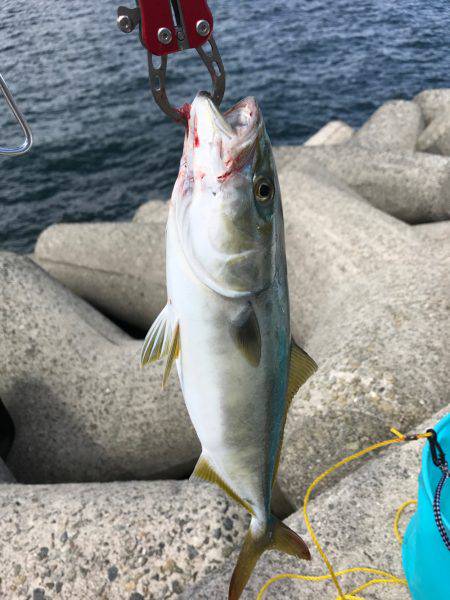 台風後のショアジギ