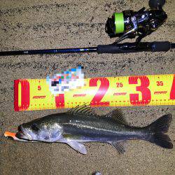 ナイトウェーディング