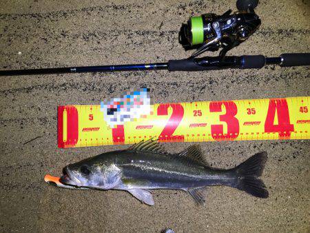 ナイトウェーディング