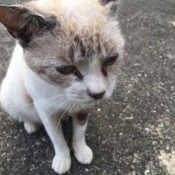 台風後エギング
