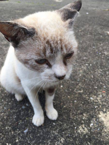 台風後エギング