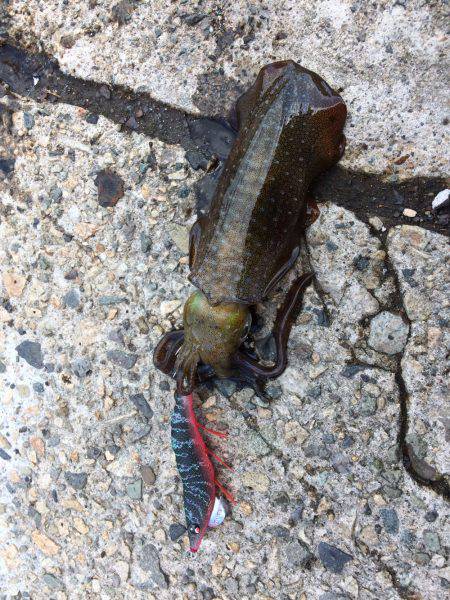 ほとんどアタリ無し