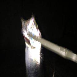 今日は時合いが早かった