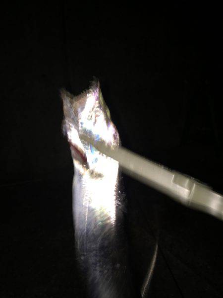 今日は時合いが早かった