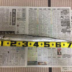 渋い中の良型太刀魚