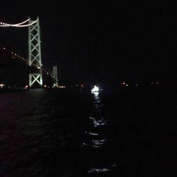 アオリをジックリ狙って