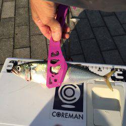 コスモスクエア