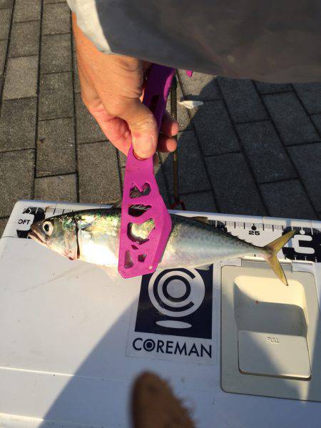 コスモスクエア