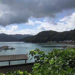 台風直後のエギング