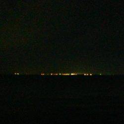 アジは裏切らない