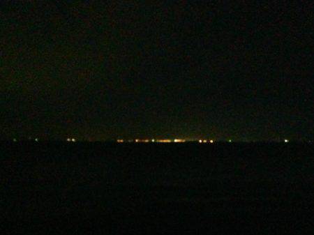 アジは裏切らない