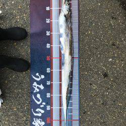 ドラゴン120/F6.5