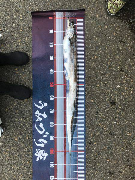 ドラゴン120/F6.5