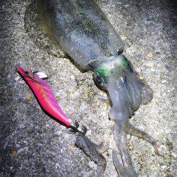 風が気になりましたが何とか…