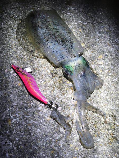 風が気になりましたが何とか…