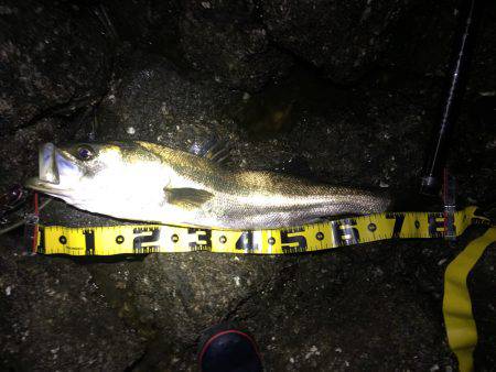 秋の釣りシーズン